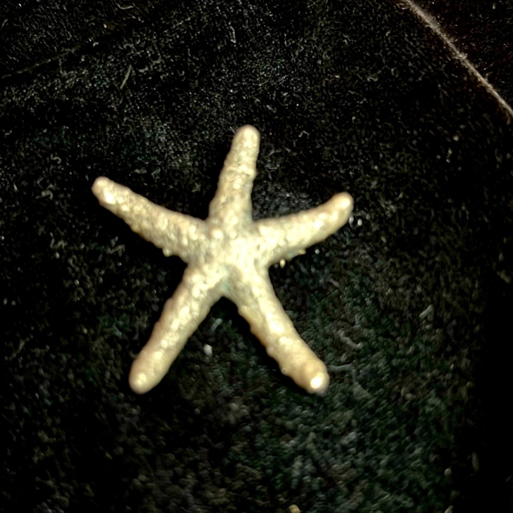 Sterling cast starfish pin/pendant
